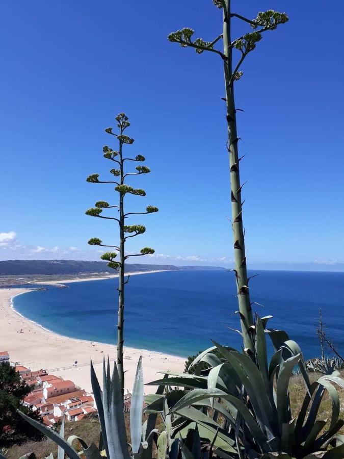 Refugio Villa Mar Nazaré Exteriör bild